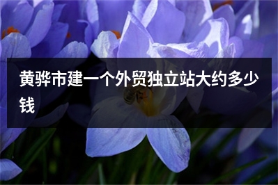[year]黄骅市建一个外贸独立站大约多少钱