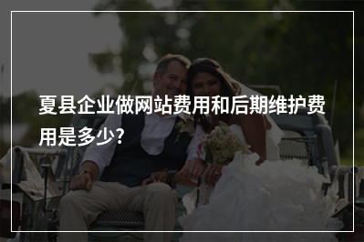 [year]夏县企业做网站费用和后期维护费用是多少?
