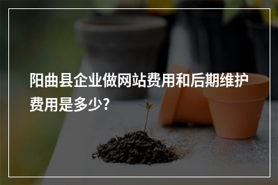 [year]阳曲县企业做网站费用和后期维护费用是多少?
