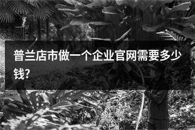 [year]普兰店市做一个企业官网需要多少钱?