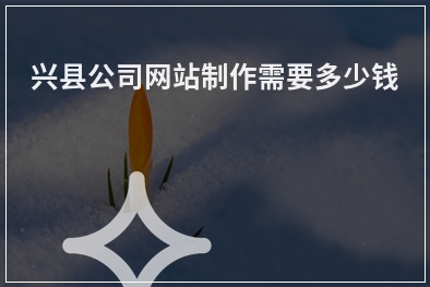 [year]兴县公司网站制作需要多少钱