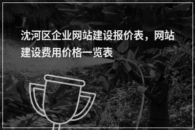 [year]沈河区企业网站建设报价表，网站建设费用价格一览表
