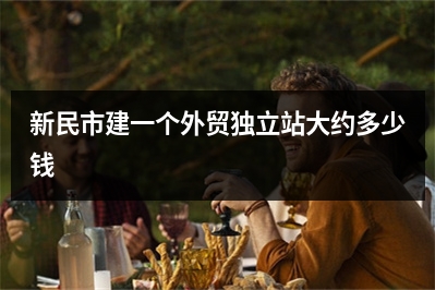 [year]新民市建一个外贸独立站大约多少钱