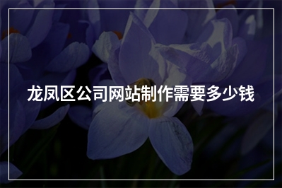 [year]龙凤区公司网站制作需要多少钱