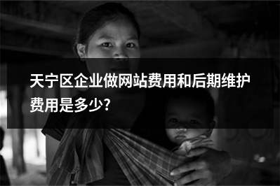 [year]天宁区企业做网站费用和后期维护费用是多少?