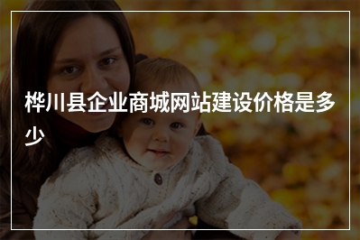 [year]桦川县企业商城网站建设价格是多少