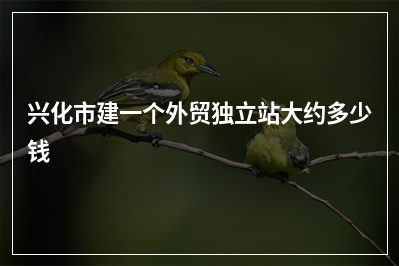 [year]兴化市建一个外贸独立站大约多少钱