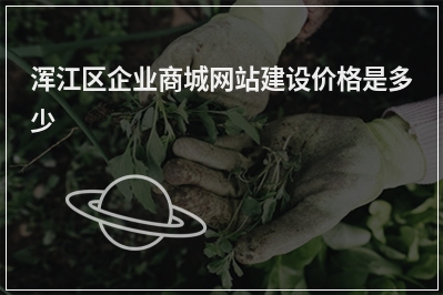 [year]浑江区企业商城网站建设价格是多少