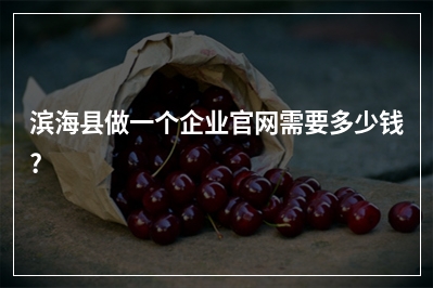[year]滨海县做一个企业官网需要多少钱?