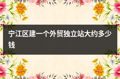 [year]宁江区建一个外贸独立站大约多少钱