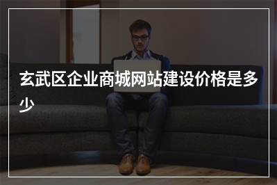 [year]玄武区企业商城网站建设价格是多少