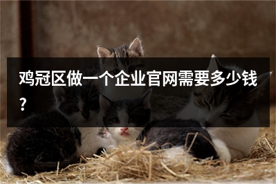 [year]鸡冠区做一个企业官网需要多少钱?