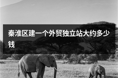 [year]秦淮区建一个外贸独立站大约多少钱
