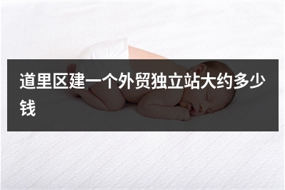 [year]道里区建一个外贸独立站大约多少钱