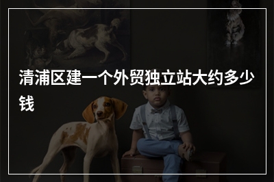 [year]清浦区建一个外贸独立站大约多少钱