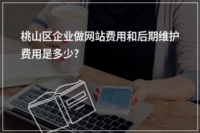 [year]桃山区企业做网站费用和后期维护费用是多少?