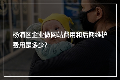 [year]杨浦区企业做网站费用和后期维护费用是多少?