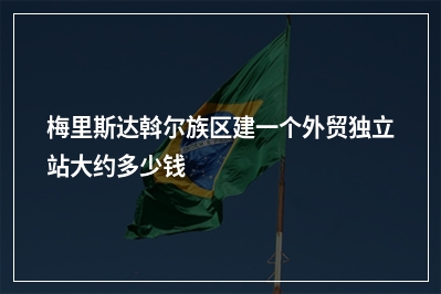 [year]梅里斯达斡尔族区建一个外贸独立站大约多少钱