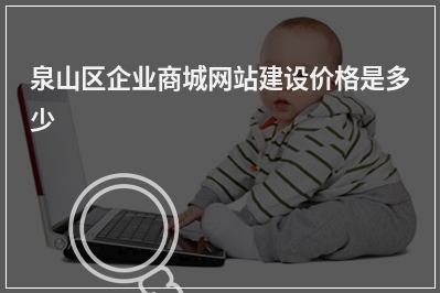 [year]泉山区企业商城网站建设价格是多少