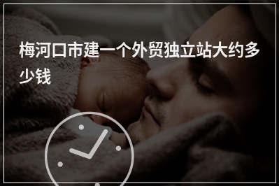 [year]梅河口市建一个外贸独立站大约多少钱