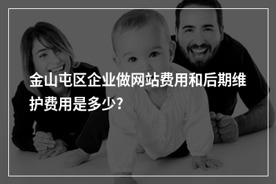 [year]金山屯区企业做网站费用和后期维护费用是多少?