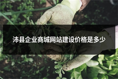 [year]沛县企业商城网站建设价格是多少