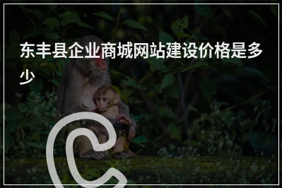 [year]东丰县企业商城网站建设价格是多少