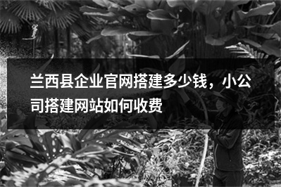 [year]兰西县企业官网搭建多少钱，小公司搭建网站如何收费