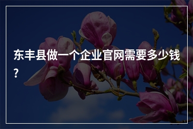 [year]东丰县做一个企业官网需要多少钱?