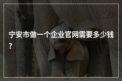 [year]宁安市做一个企业官网需要多少钱?