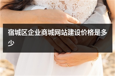 [year]宿城区企业商城网站建设价格是多少