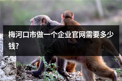 [year]梅河口市做一个企业官网需要多少钱?