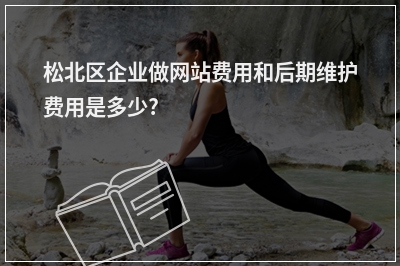 [year]松北区企业做网站费用和后期维护费用是多少?