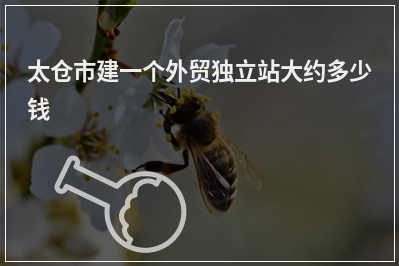 [year]太仓市建一个外贸独立站大约多少钱