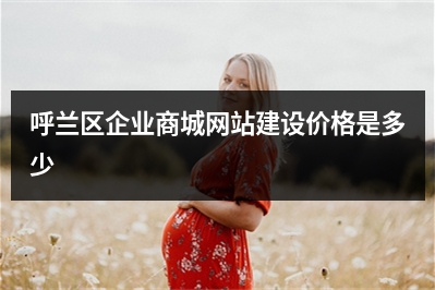 [year]呼兰区企业商城网站建设价格是多少