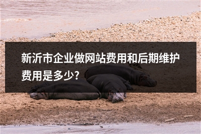 [year]新沂市企业做网站费用和后期维护费用是多少?