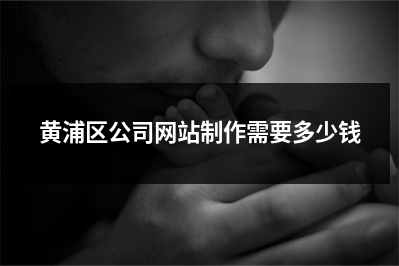 [year]黄浦区公司网站制作需要多少钱