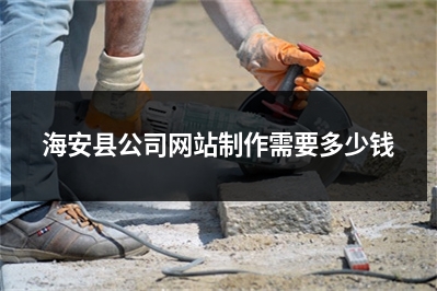 [year]海安县公司网站制作需要多少钱