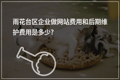 [year]雨花台区企业做网站费用和后期维护费用是多少?