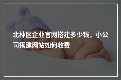 [year]北林区企业官网搭建多少钱，小公司搭建网站如何收费