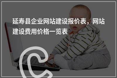 [year]延寿县企业网站建设报价表，网站建设费用价格一览表