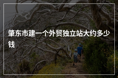 [year]肇东市建一个外贸独立站大约多少钱