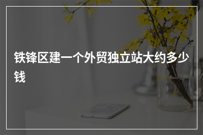 [year]铁锋区建一个外贸独立站大约多少钱