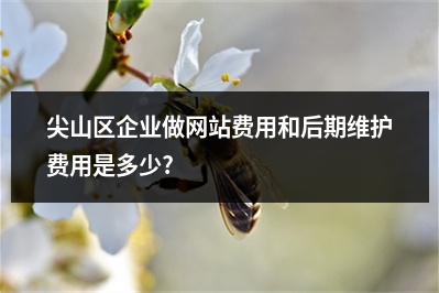 [year]尖山区企业做网站费用和后期维护费用是多少?