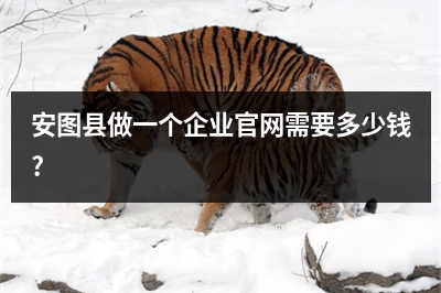 [year]安图县做一个企业官网需要多少钱?