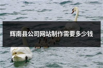 [year]辉南县公司网站制作需要多少钱