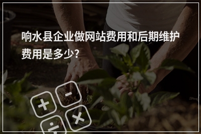 [year]响水县企业做网站费用和后期维护费用是多少?