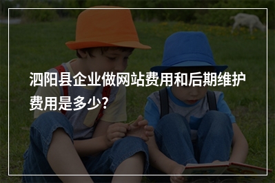 [year]泗阳县企业做网站费用和后期维护费用是多少?