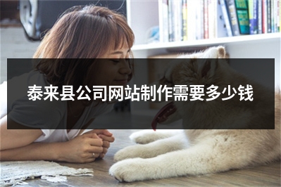 [year]泰来县公司网站制作需要多少钱