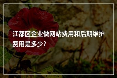 [year]江都区企业做网站费用和后期维护费用是多少?